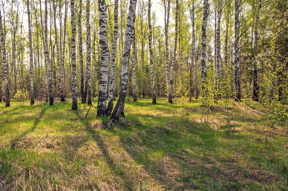 Photograph by Валерий Клейменов