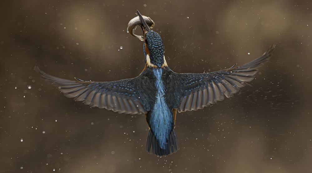 The Azure Hunter: Blue Angel