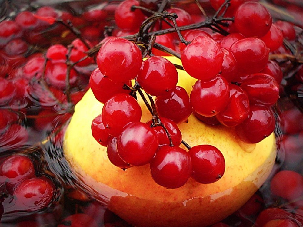 Photograph by Евгений Николаенков