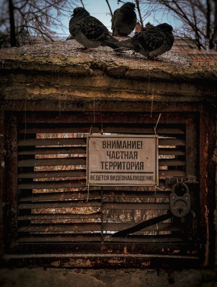 Photograph by Дайана