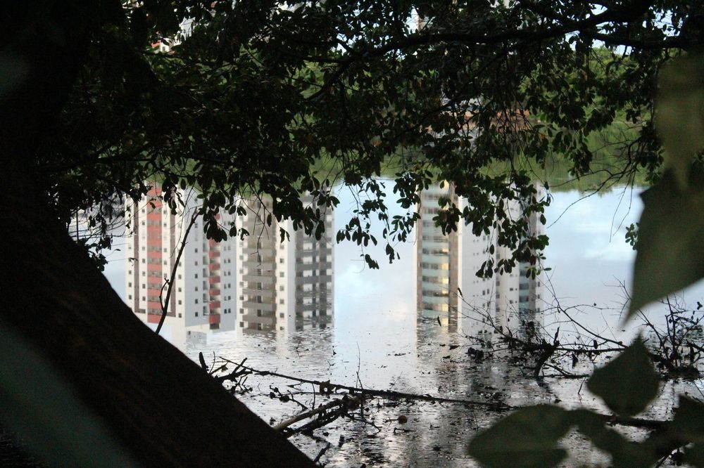 Photograph by CRINALDO REIS