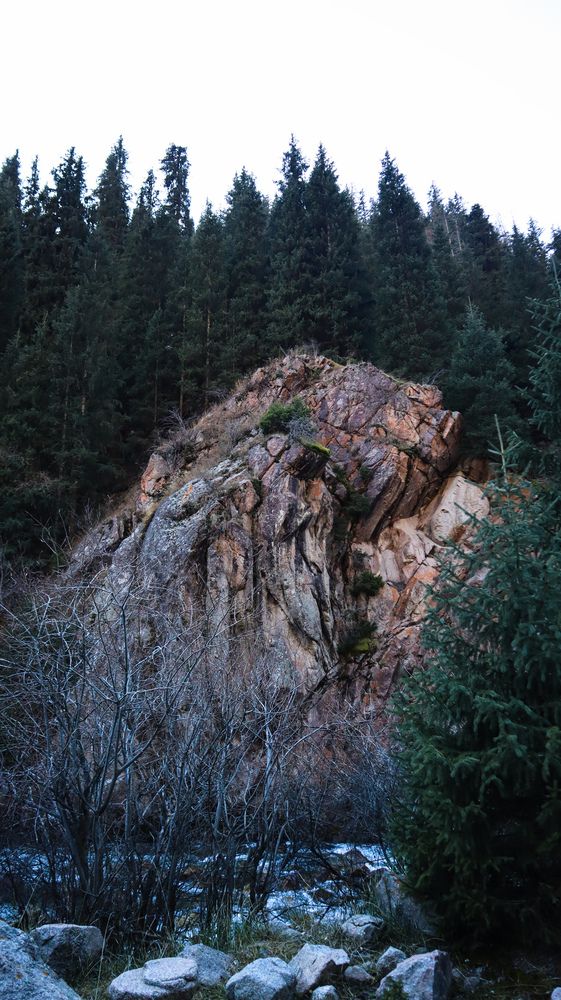Photograph by Никита Нечаев