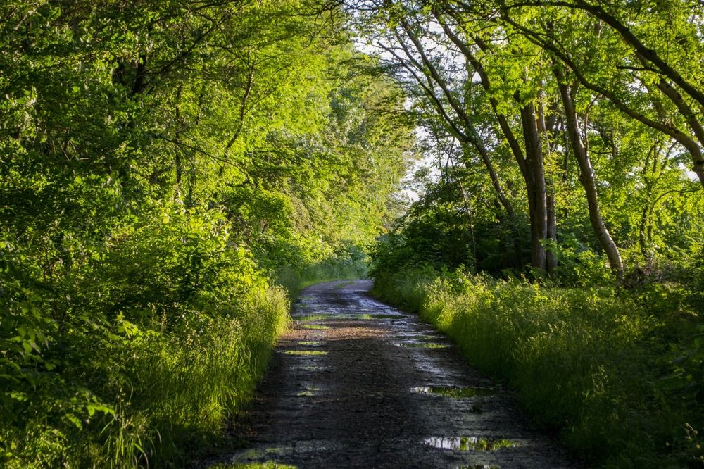 Photograph by Мартынов Константин