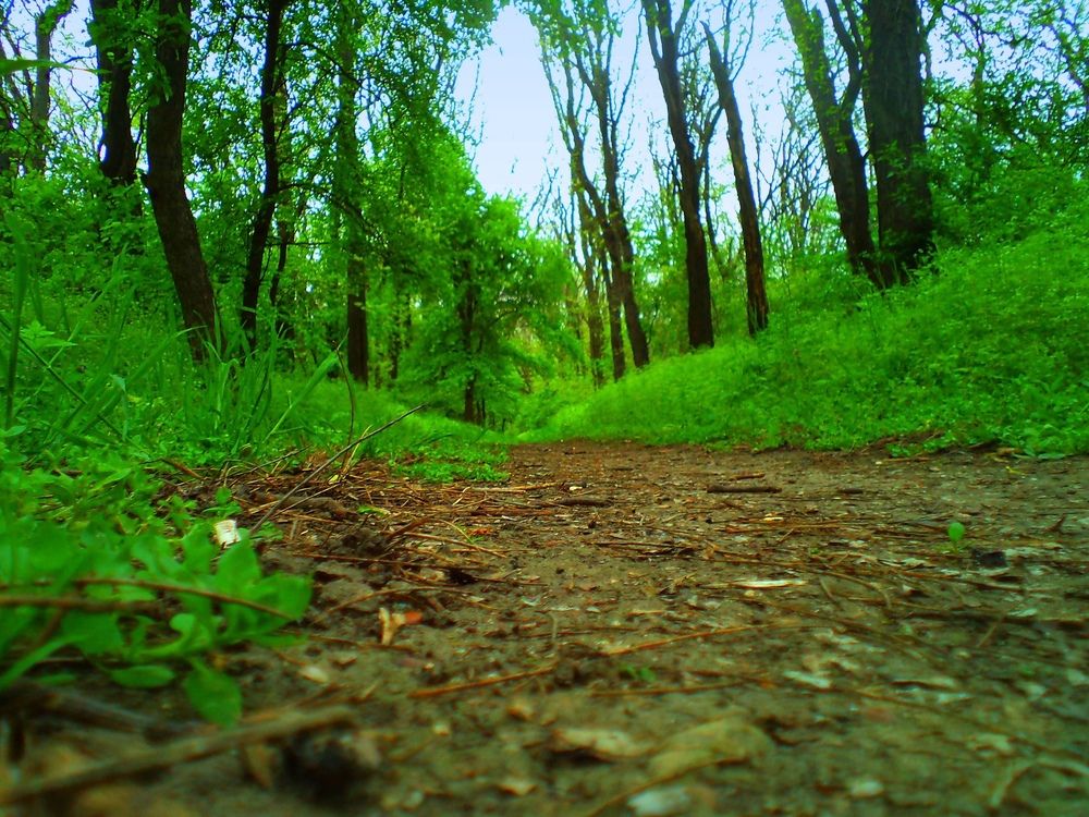 Photograph by Мартынов Константин