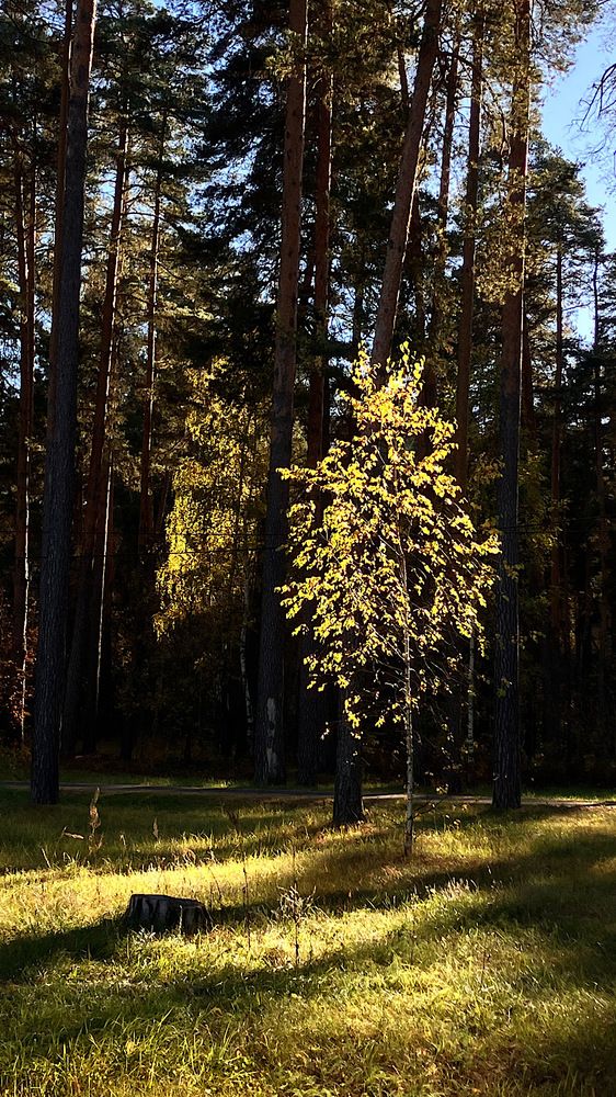 Photograph by Мария Карпычева