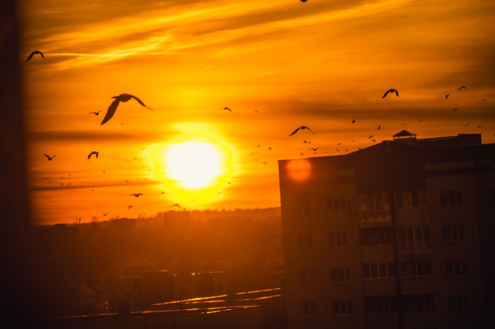 Photograph by Евгений Николаенков