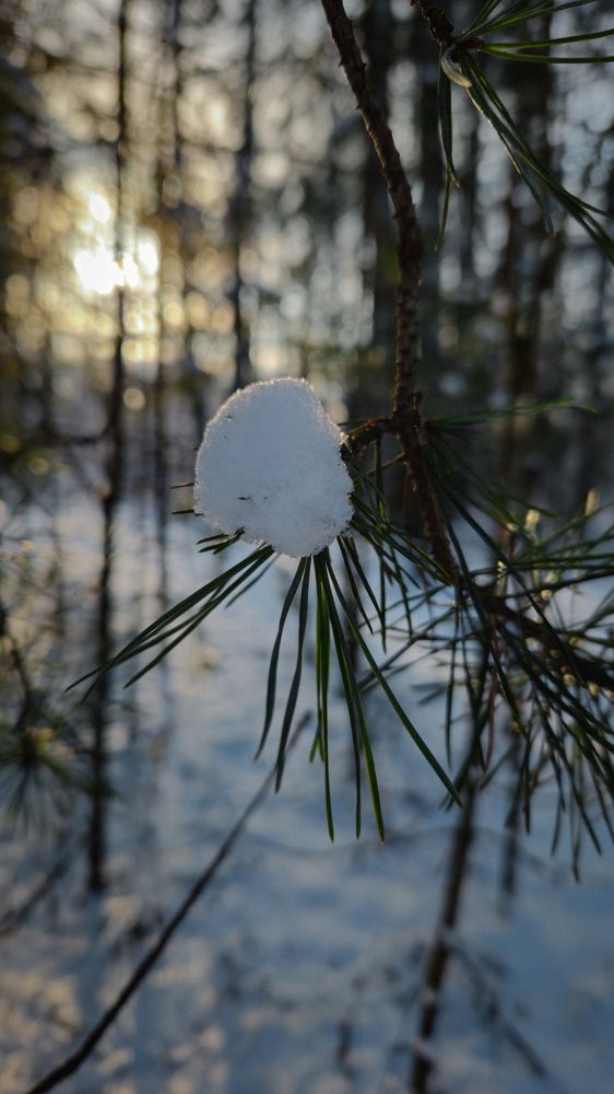 Photograph by Наталья Тополевская