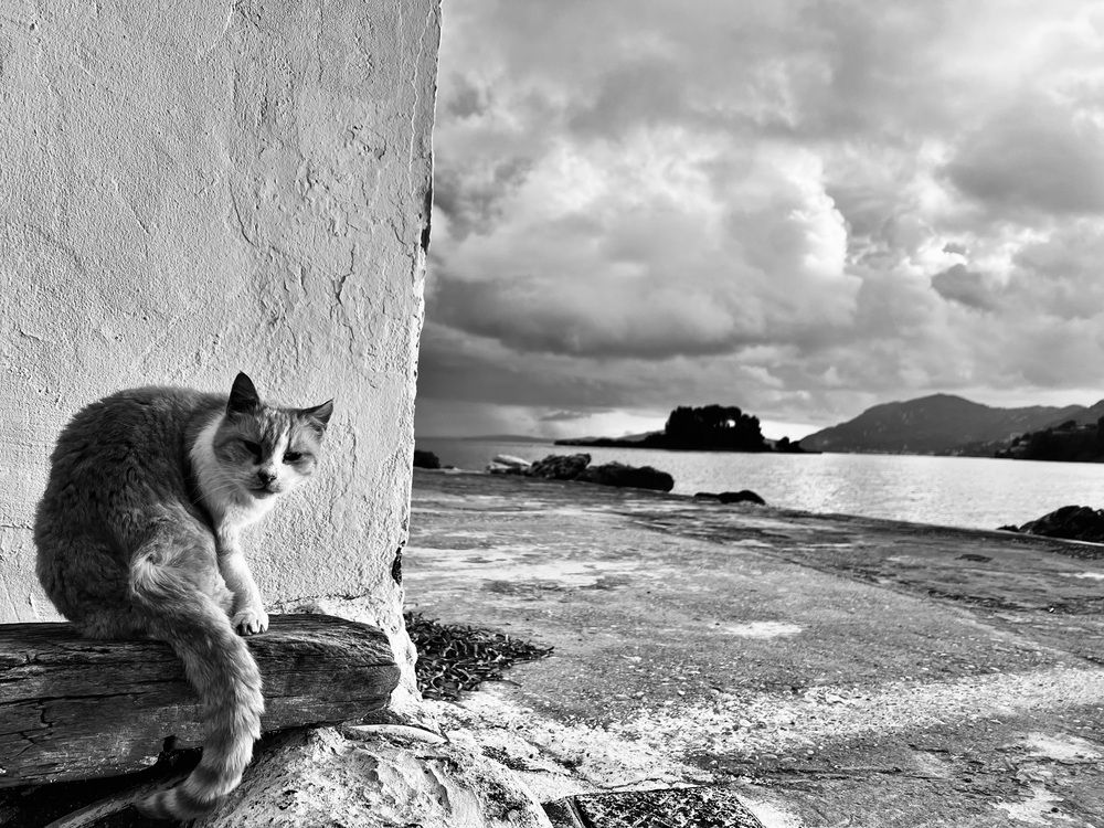 Photograph by 