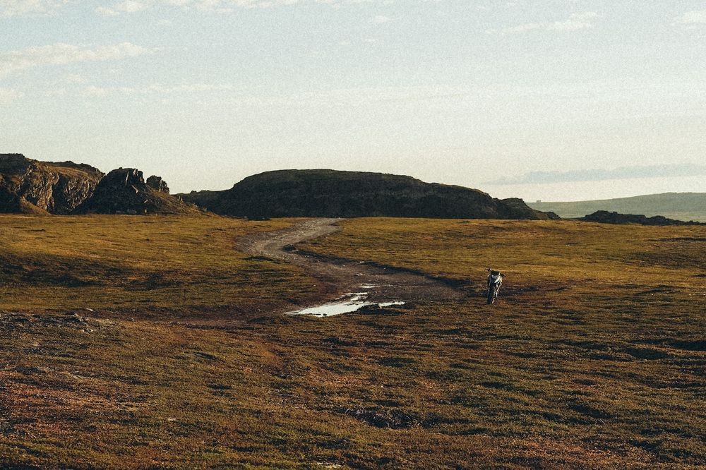 Photograph by Батанова Людмила