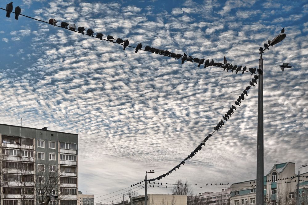 Photograph by Анатолий ИМХО