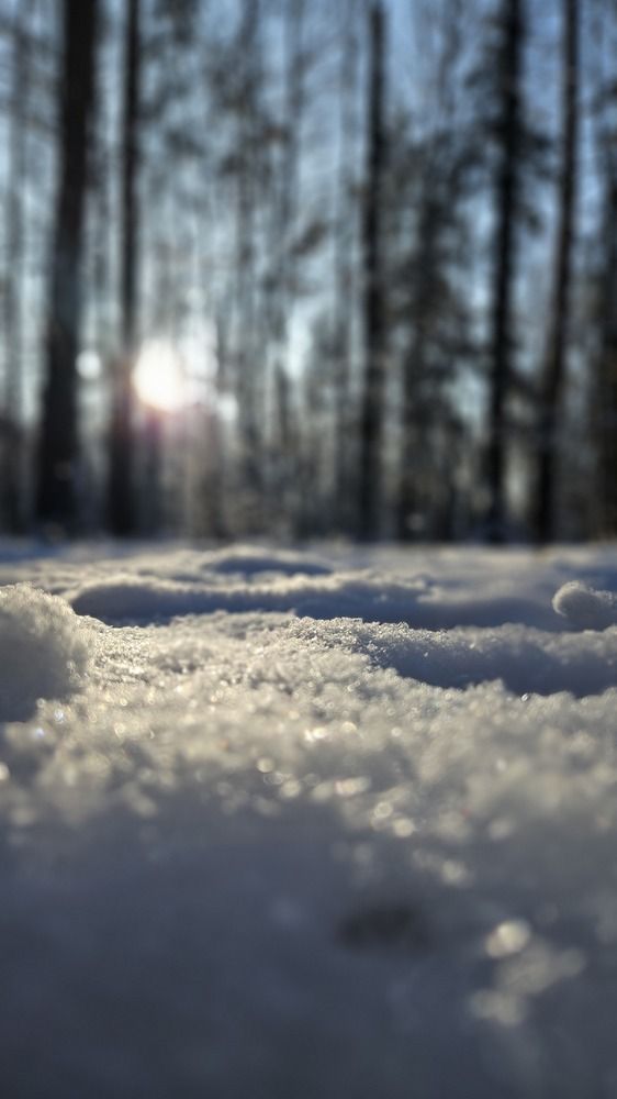 Photograph by Наталья Тополевская
