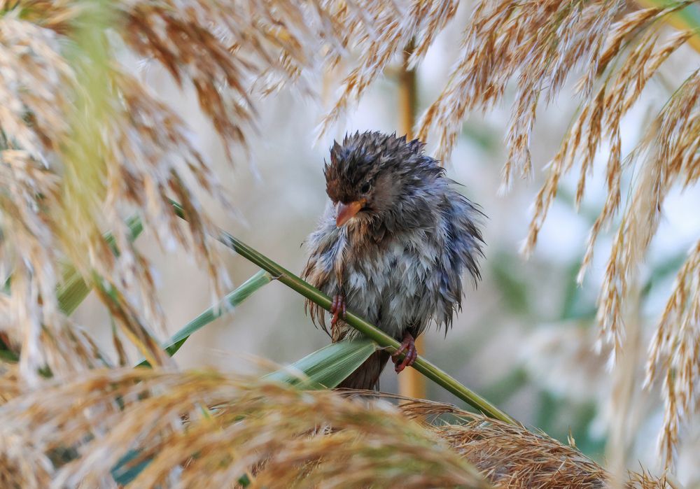 Photograph by Magov Marat