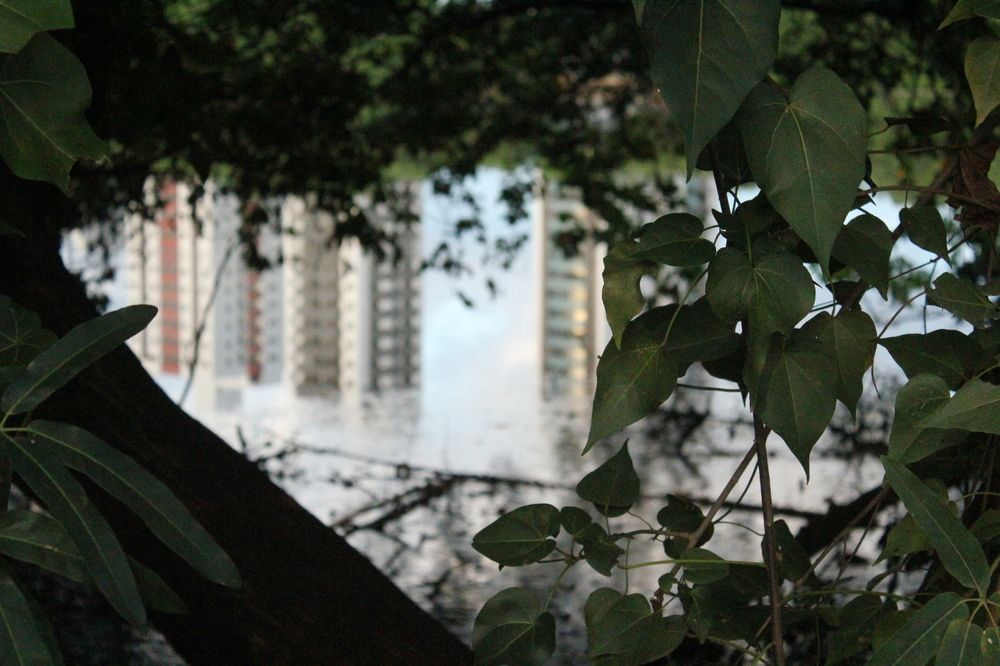 Photograph by CRINALDO REIS