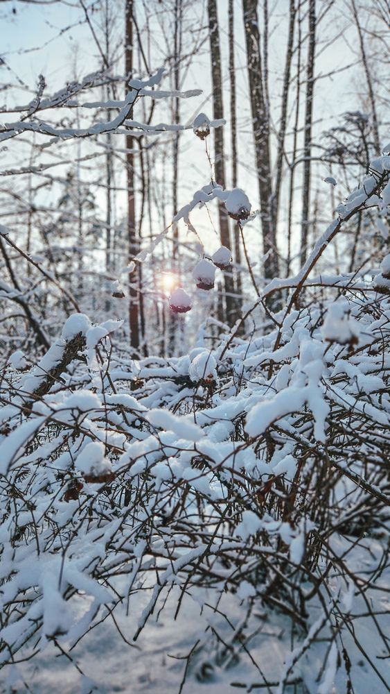 Photograph by Наталья Тополевская