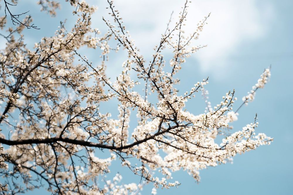 Photograph by Евгений Николаенков