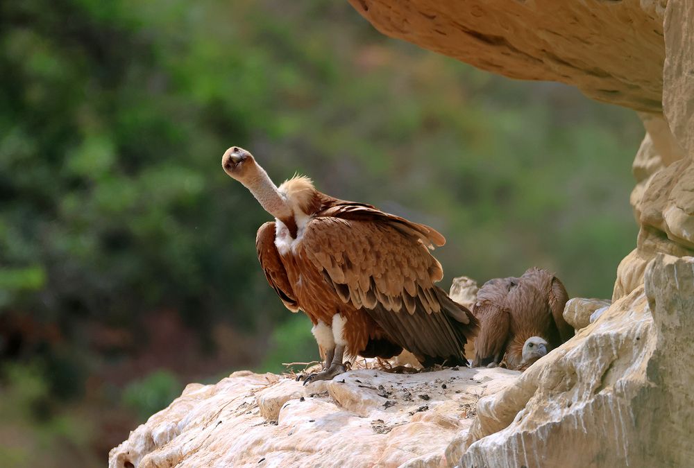 Photograph by Magov Marat