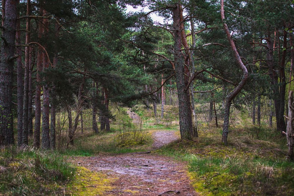 Photograph by Ирина Шарова