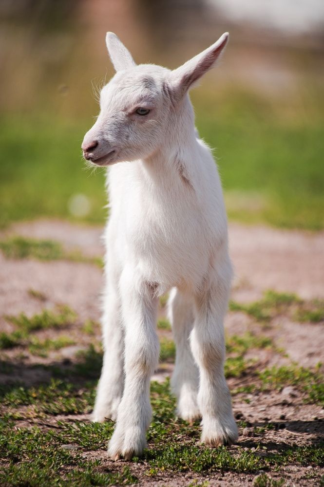 Photograph by Евгений Николаенков