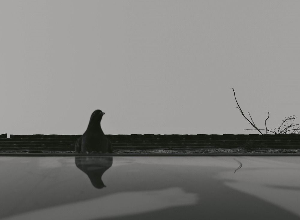 Photograph by Hakan Tunc