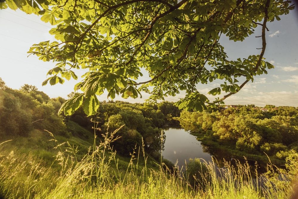 Photograph by Евгений Николаенков