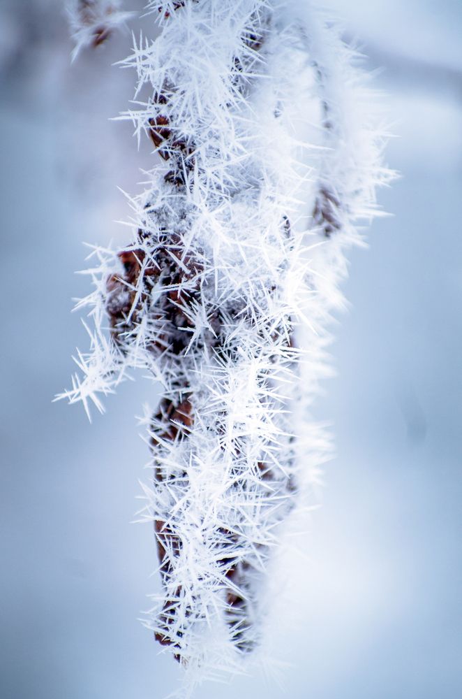 Рука природы