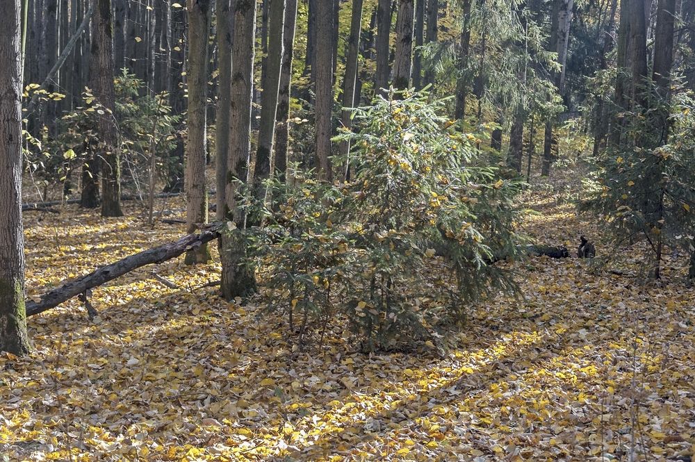 Photograph by Валерий Клейменов