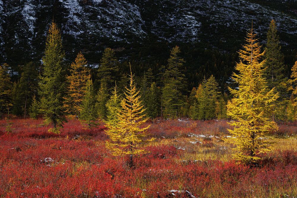 Photograph by Морозов Сергей