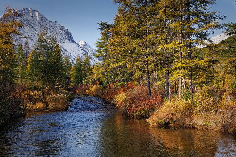 Photograph by Морозов Сергей