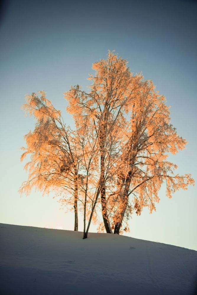 Зима в городе