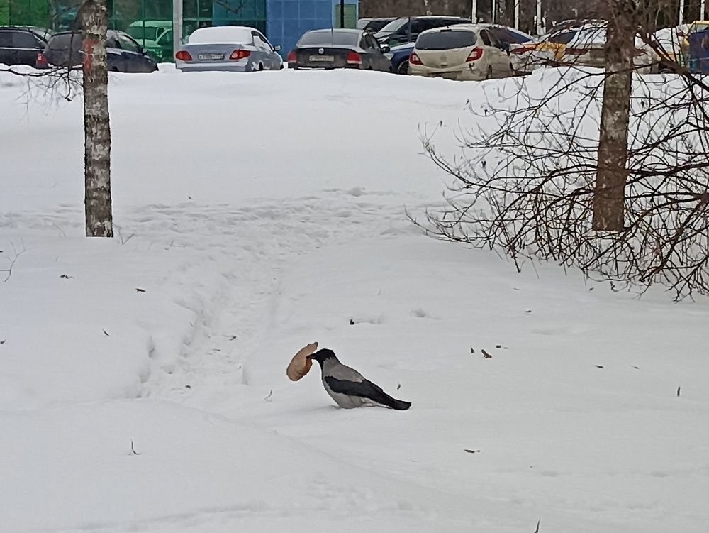 Photograph by Vitaliy