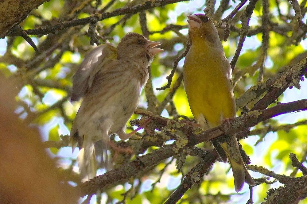 Фотография автора Jevgeni Filimonov