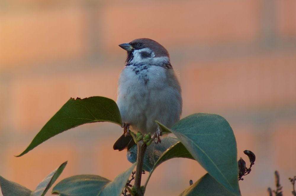 Фотография автора Jevgeni Filimonov