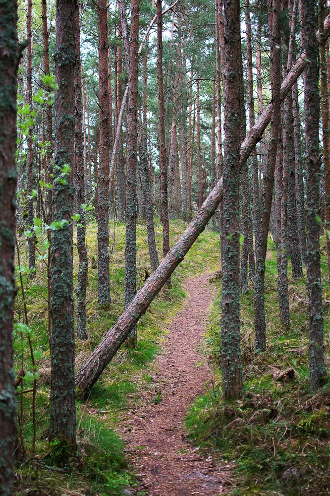 Photograph by Ирина Шарова