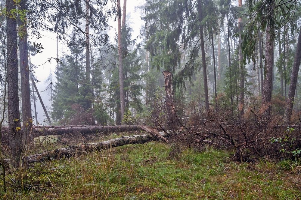 Photograph by Валерий Клейменов