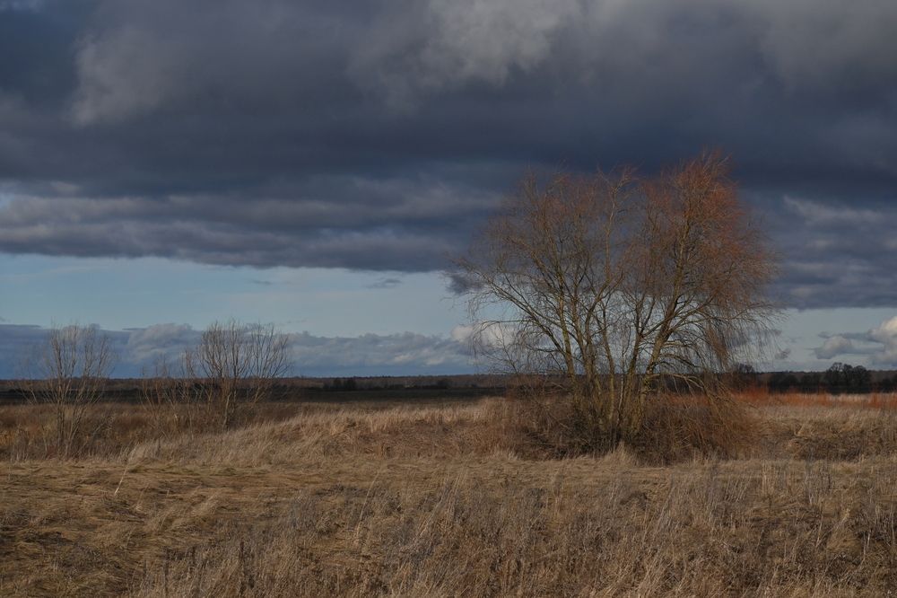 Фотография автора IRINA FILIPPOVA