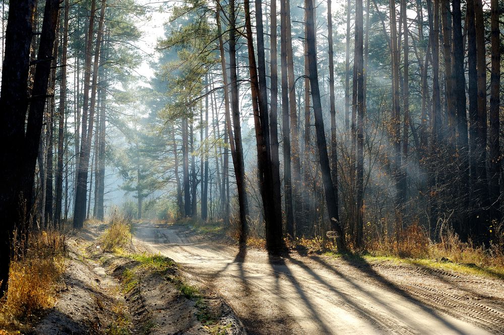 Photograph by Владимир Щеголев