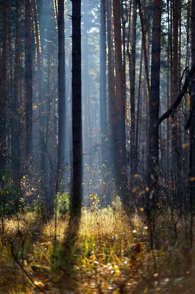 Photograph by Владимир Щеголев