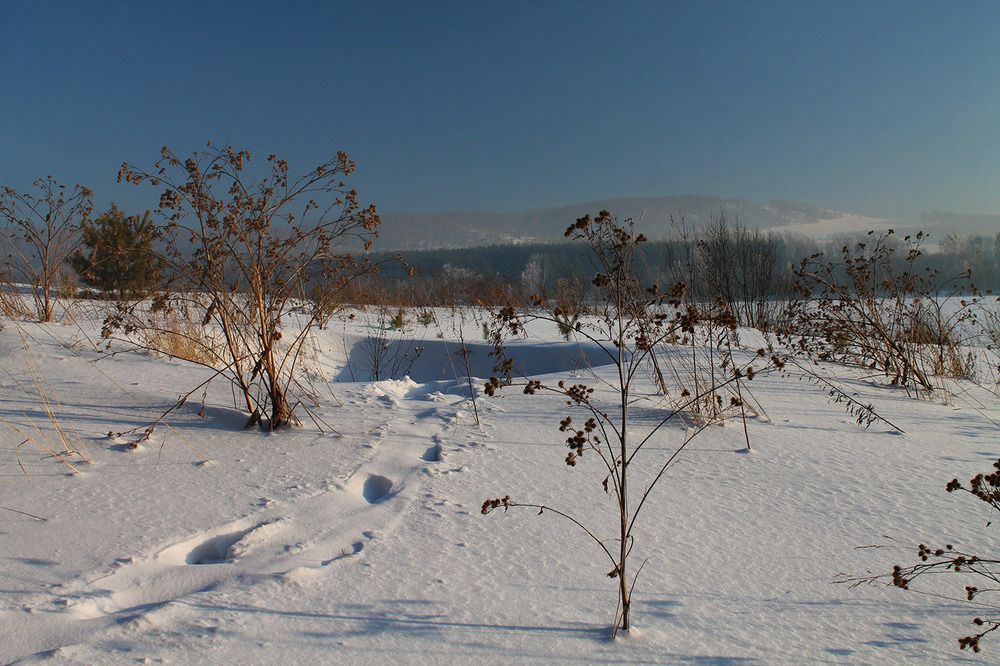 Photograph by Курочкина Диана