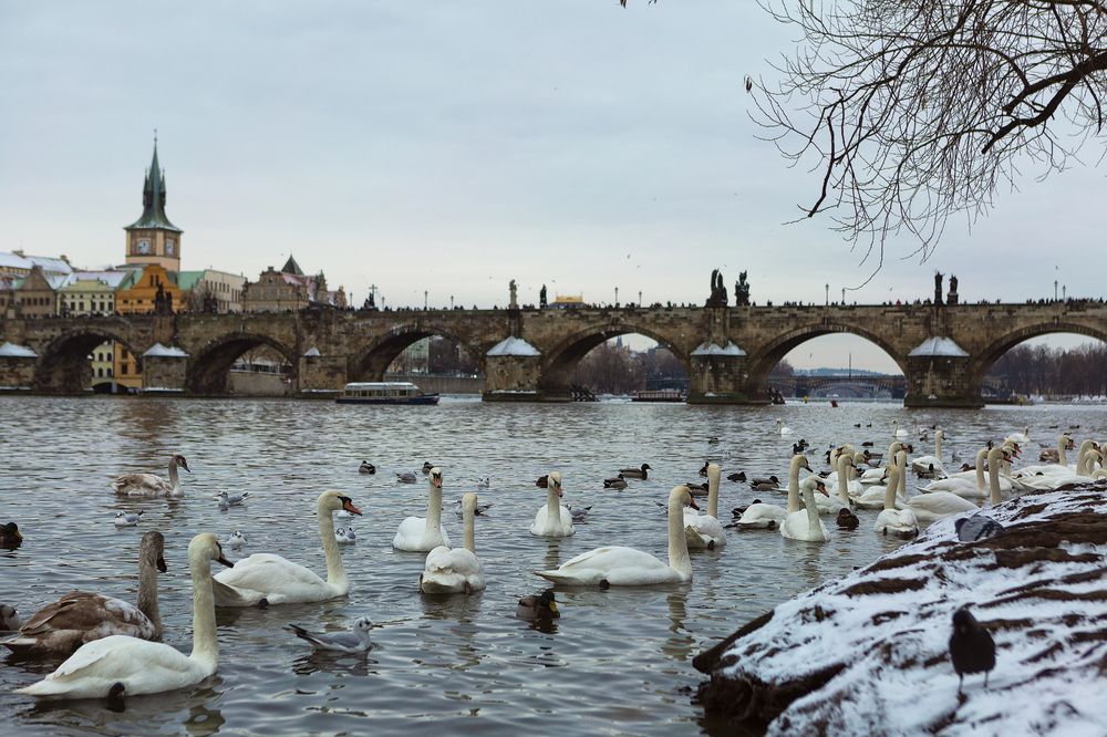 Фотография автора Наталья Дороднова