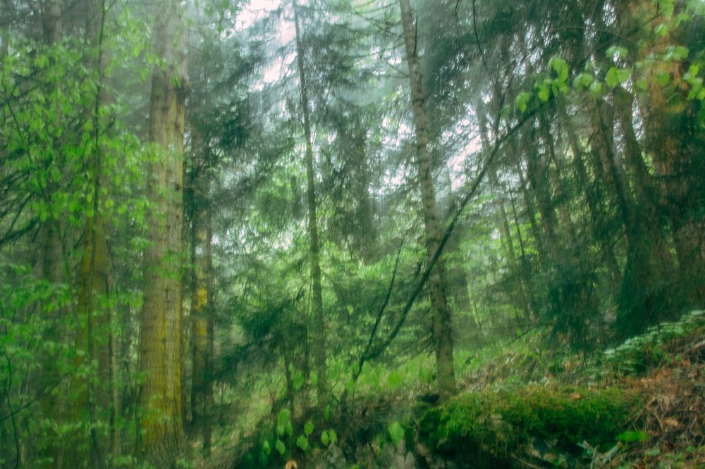 Фотография автора OXANA MARSOVA