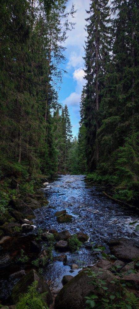 Photograph by Владимир Коновалов