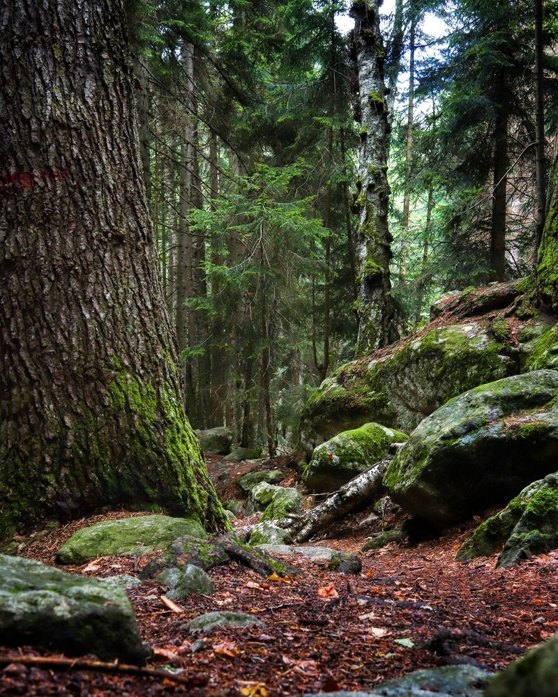 Photograph by Дмитрий Костяков