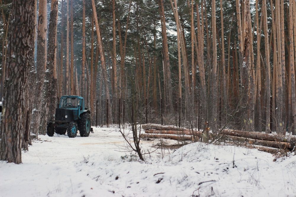 Photograph by Елена Ибрагимова