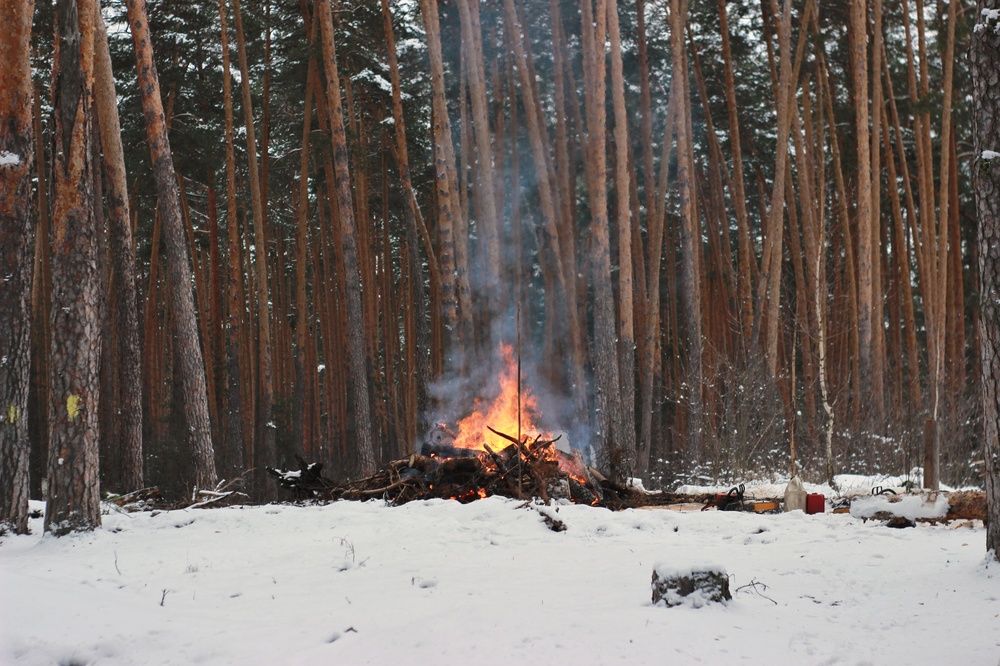 Photograph by Елена Ибрагимова