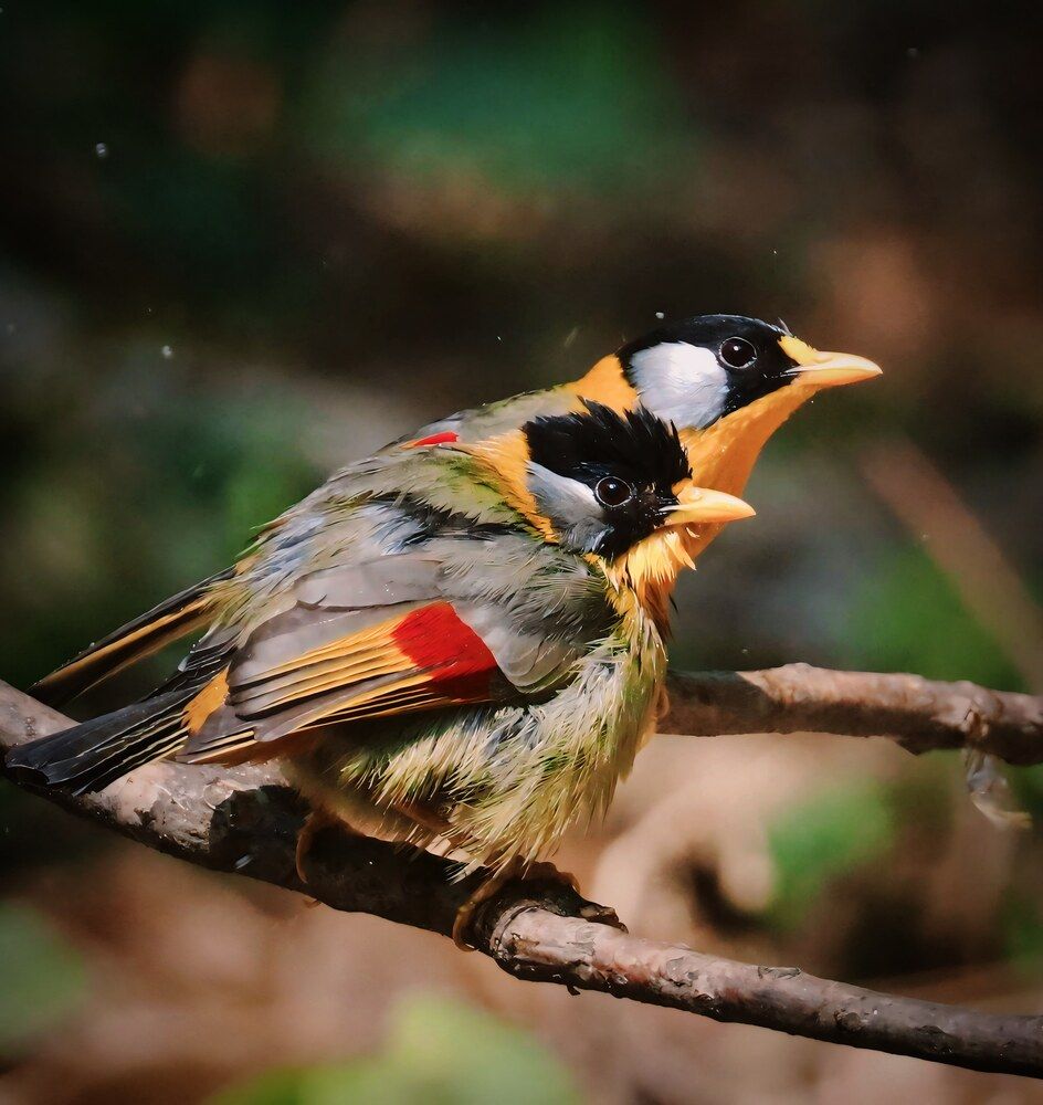 Photograph by Vijay madan