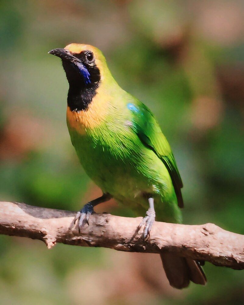 Photograph by Vijay madan