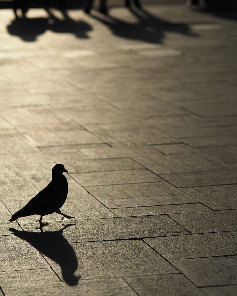 Фотография автора Федор Горбатов