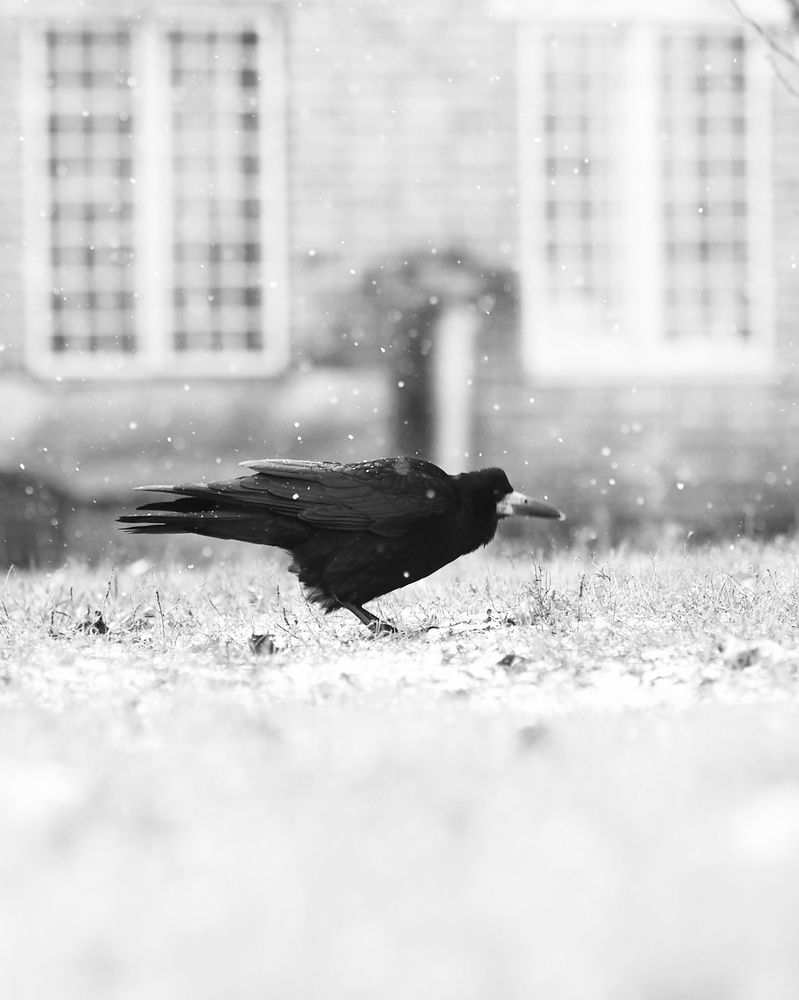 Фотография автора Федор Горбатов