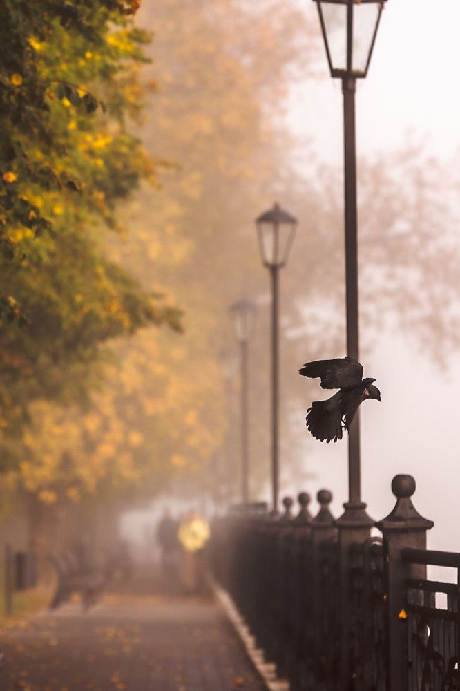 Photograph by Vladimir Petukhov