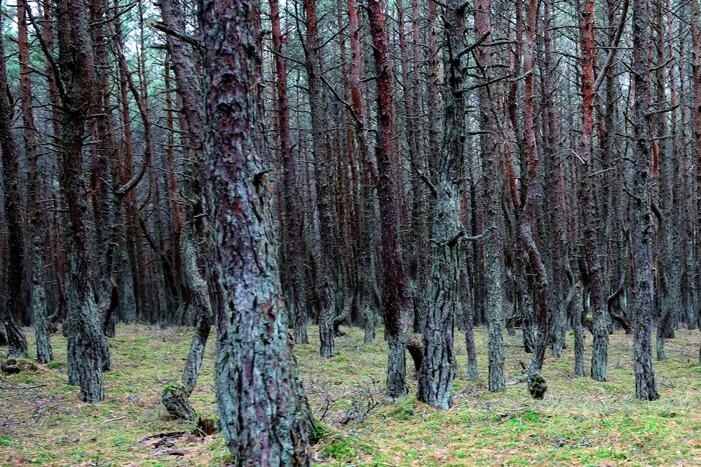 Photograph by Владимир Говоров